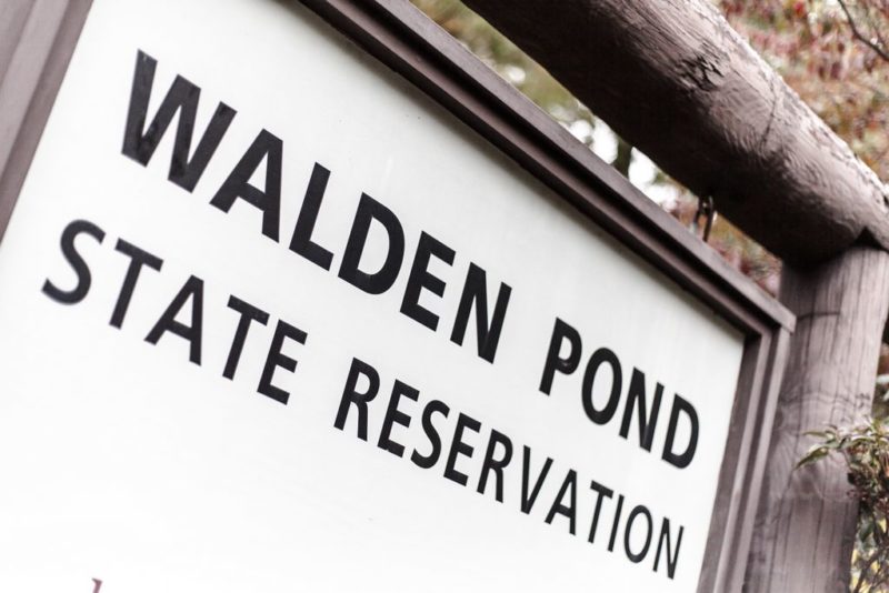 Wedding Photography - An elope at Walden Pond