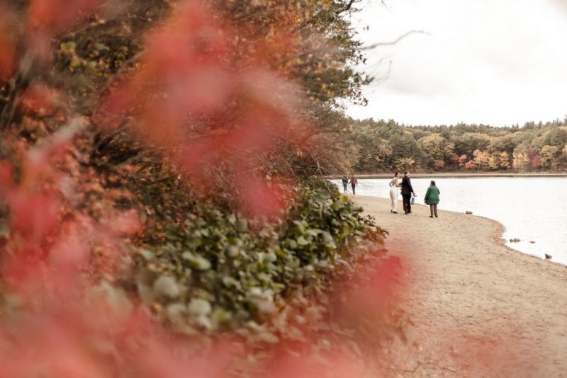 Wedding Photography - An elope at Walden Pond