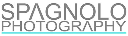 Spagnolo Photography's Logo featuring the business name in bold gray letters