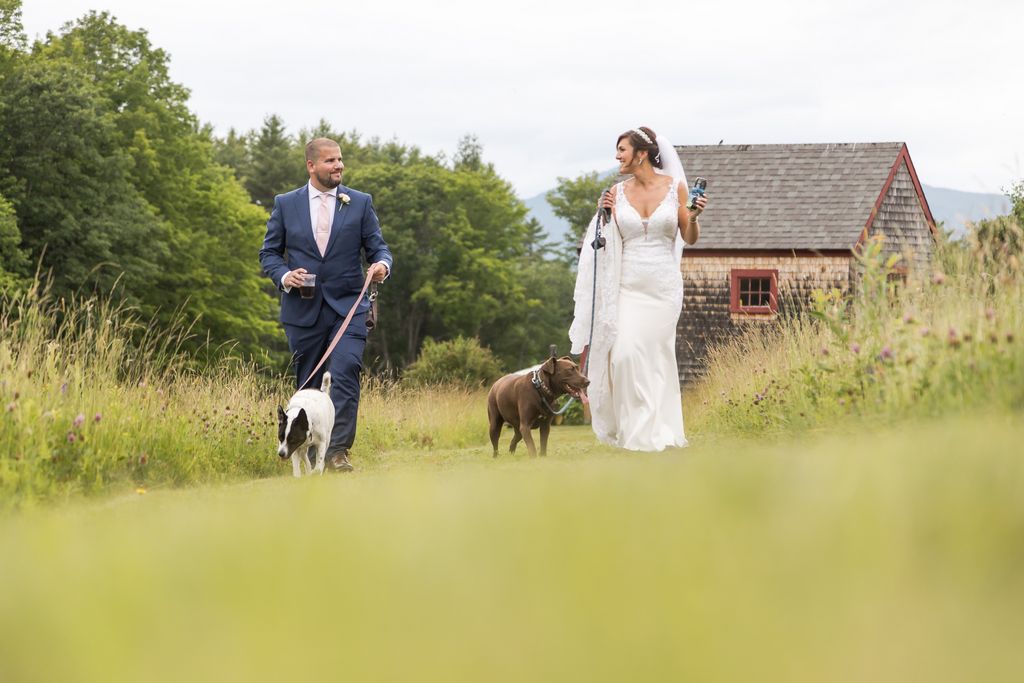 Bride and groom walk through a field with their two dogs at their barn wedding in New Hampshire