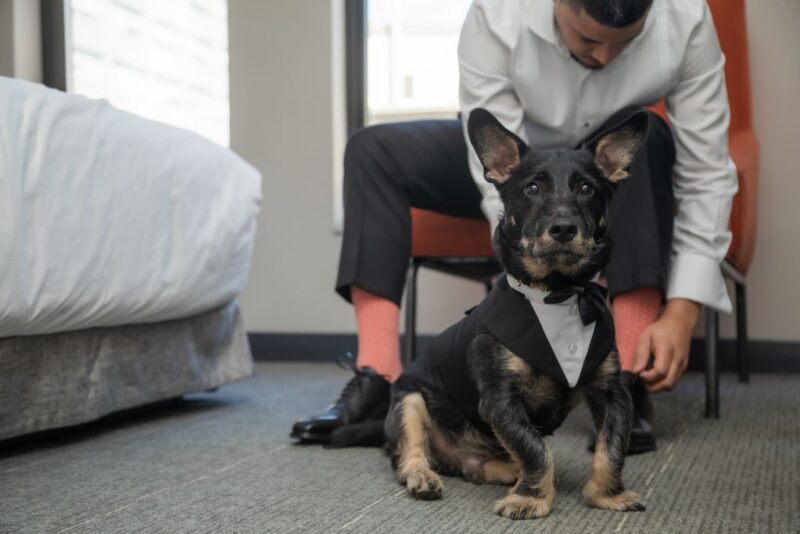 Boston City Hall Elopement