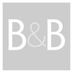 "Borrowed and Blue" wedding blog logo - Spagnolo Photography was featured on the site