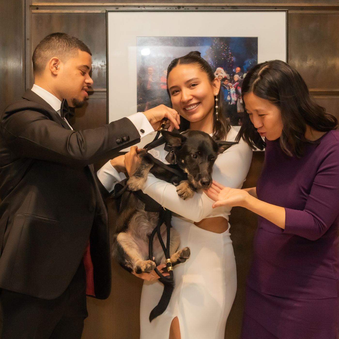 A cute little dog dressed in a tuxedo meets Boston City Mayor Michelle Wu, after serving as witness at his owner's Boston City Hall wedding, where dogs are allowed to become marriage witnesses