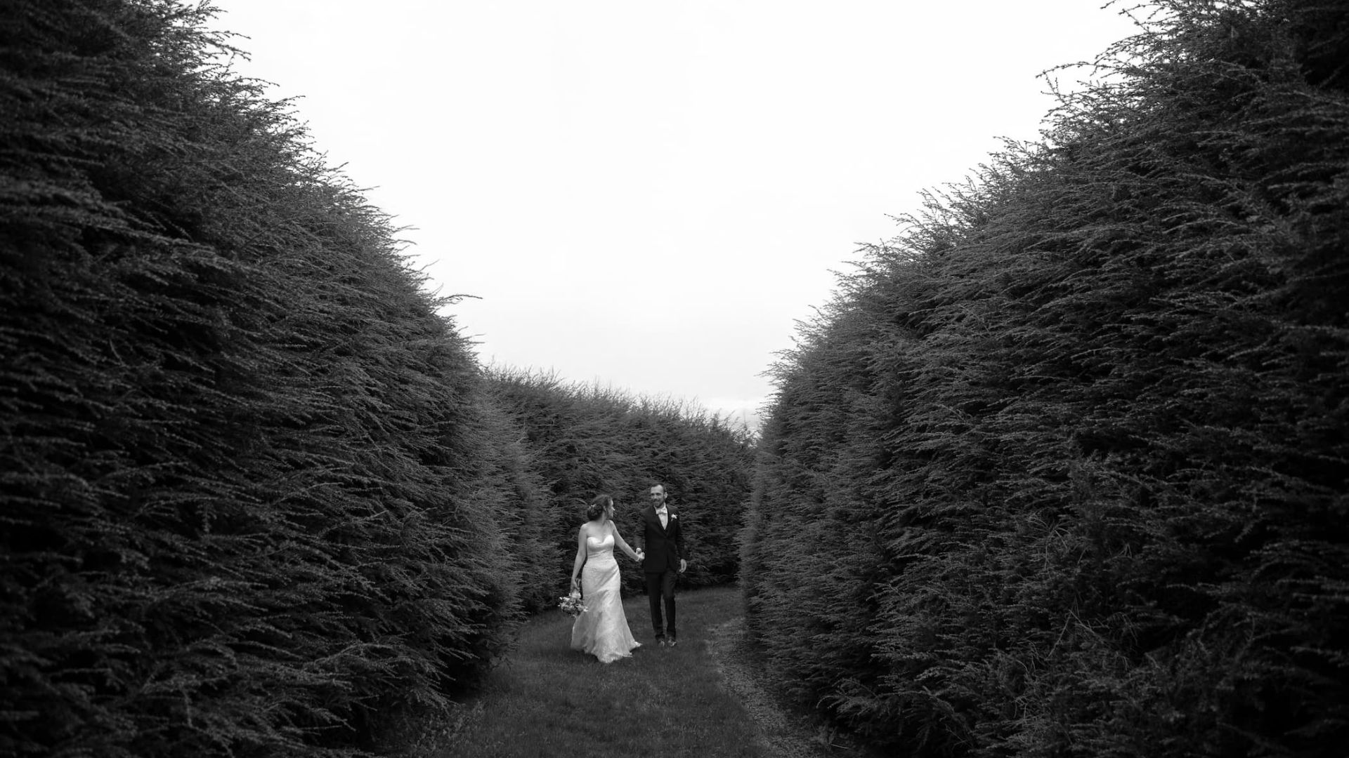 Boston Wedding Photographers Spagnolo Photography's stunning portrait of a bride and groom walking through a path lined on either side by giant manicured bushes at a Tanglewood wedding in Lenox, MA - the Berkshires.