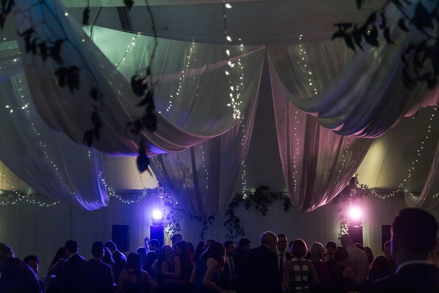 Guests dancing under string lights during tented Misselwood Estate wedding reception
