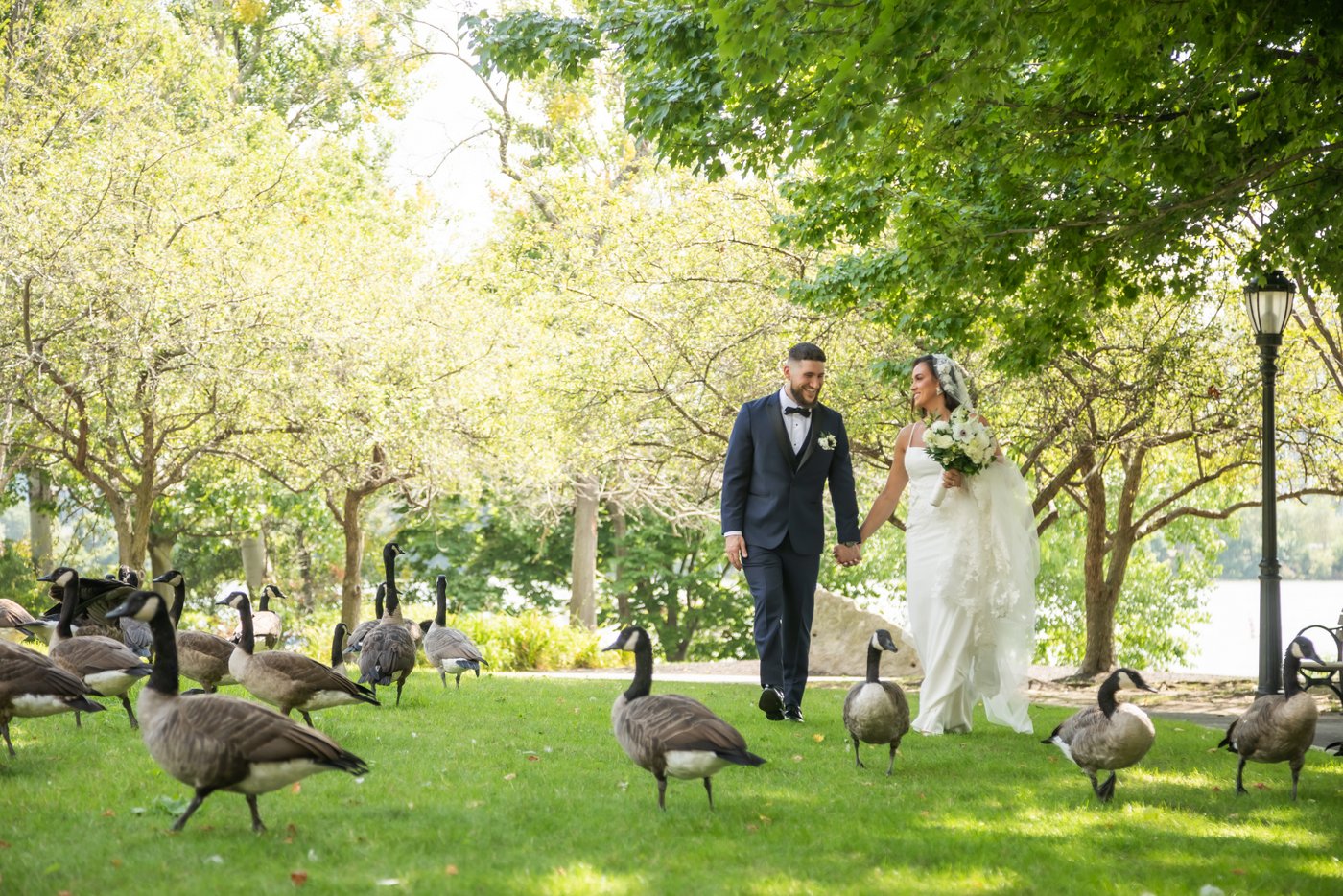The bride and groom walking through a flock of geese by the Mystic River