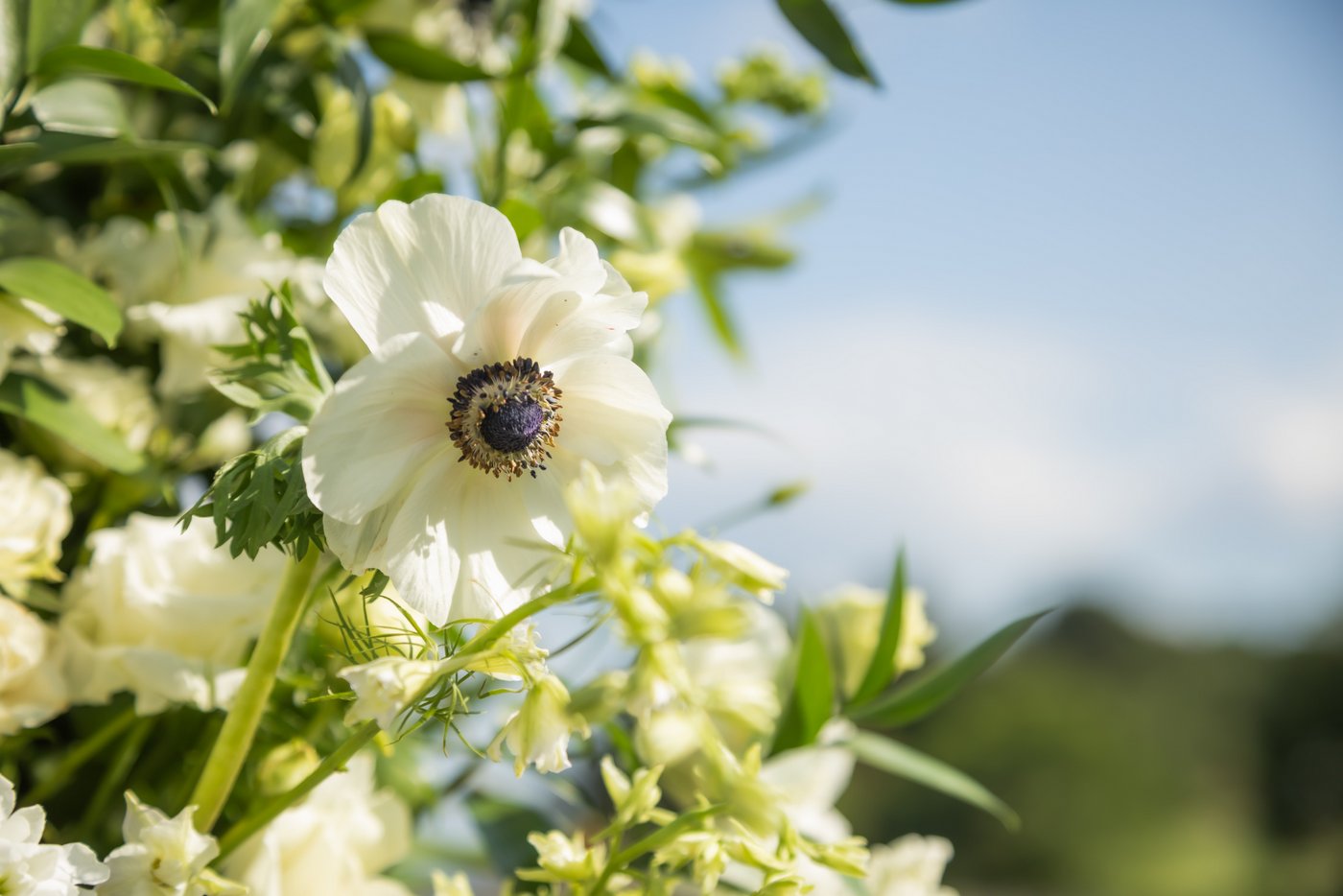 A flower that's part of the floral pillars at the wedding ceremony at Oceanview of Nahant