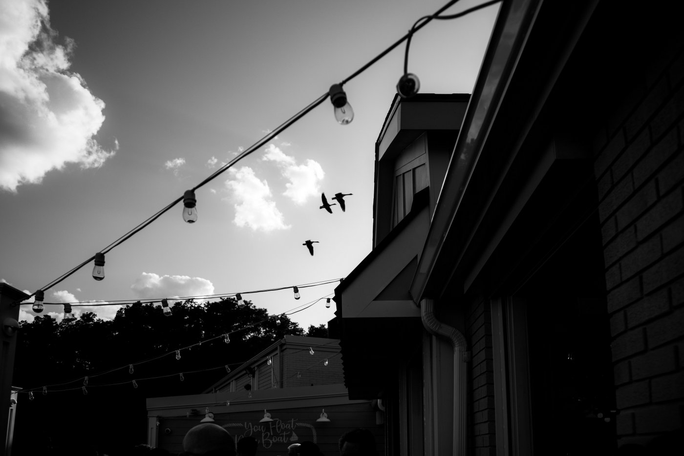 A black and white photo of the Oceanview of Nahant's patio with its string lights and a flock of geese flying over the venue