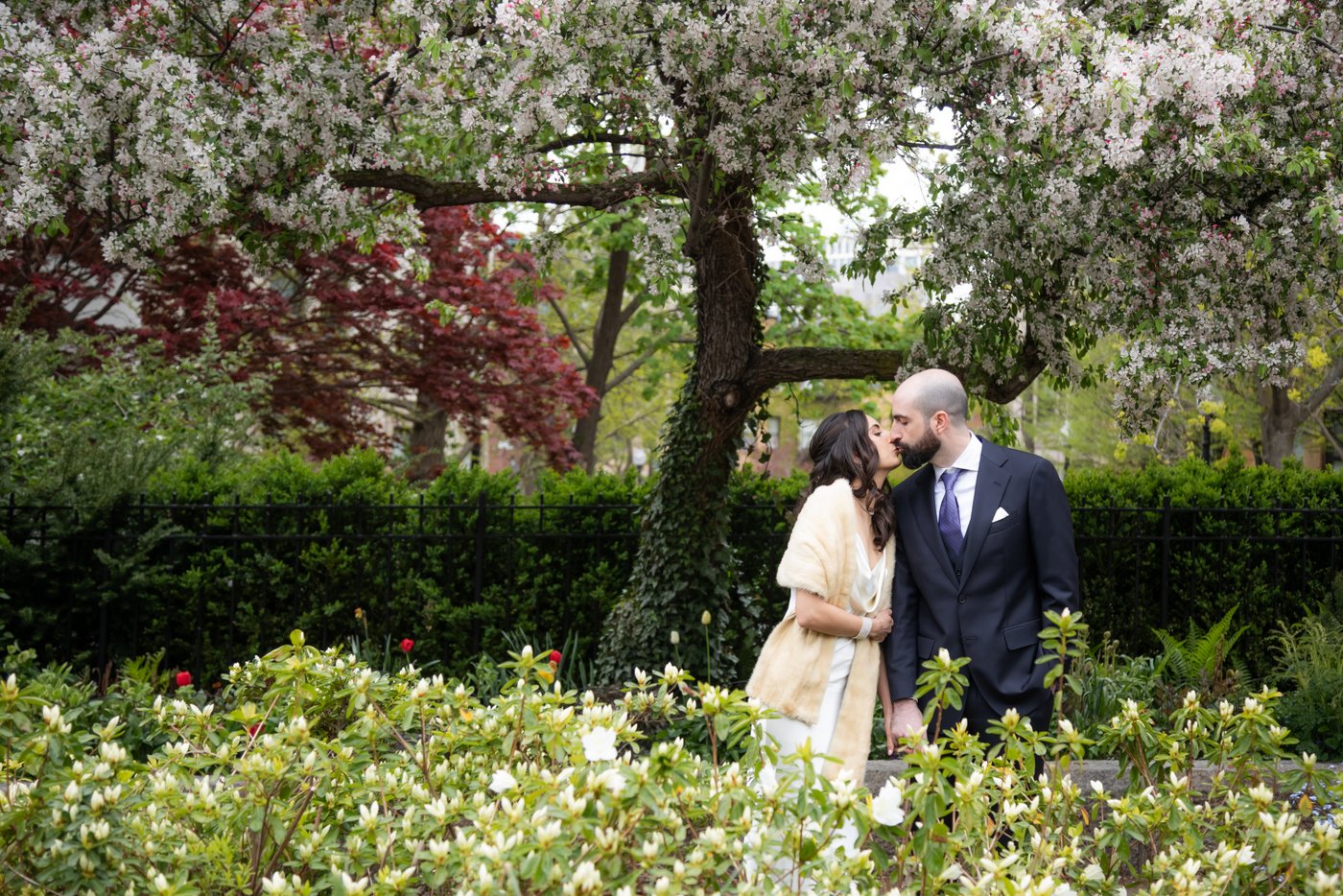 Bride and groom photographed kissing under a blooming tree in Boston's Wellington Common Park, ahead of their wedding at SRV.