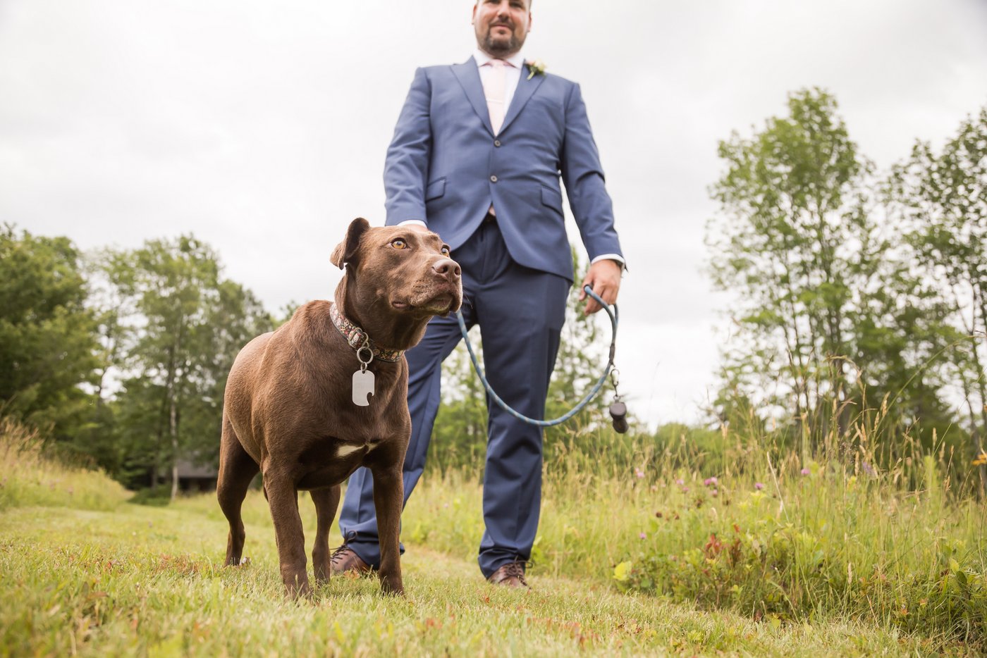 The groom and his brown dog stand in a field during a rustic wedding in Massachusetts