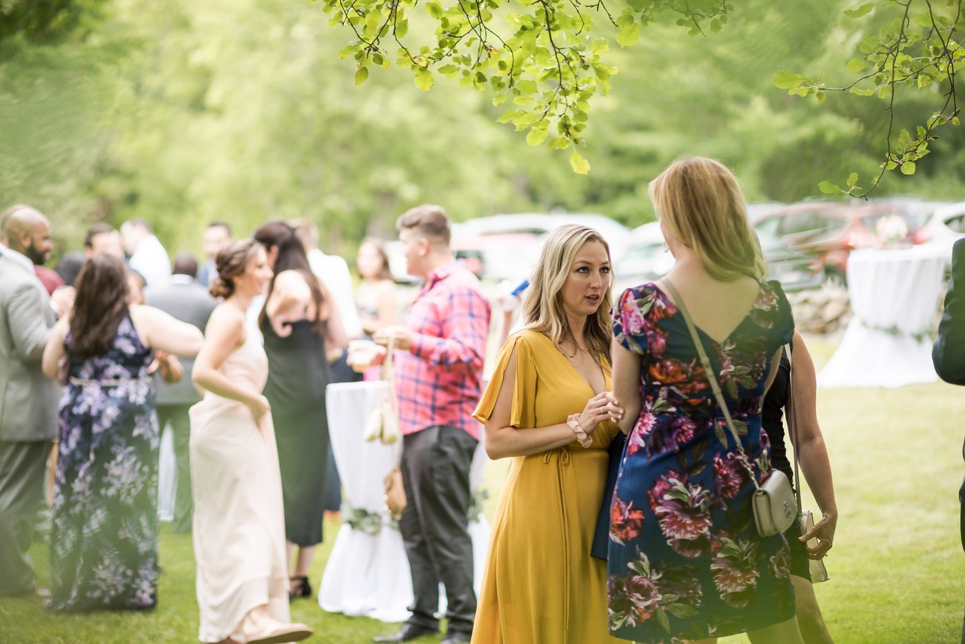 Guests mingle in the garden at a barn wedding in Massachusetts