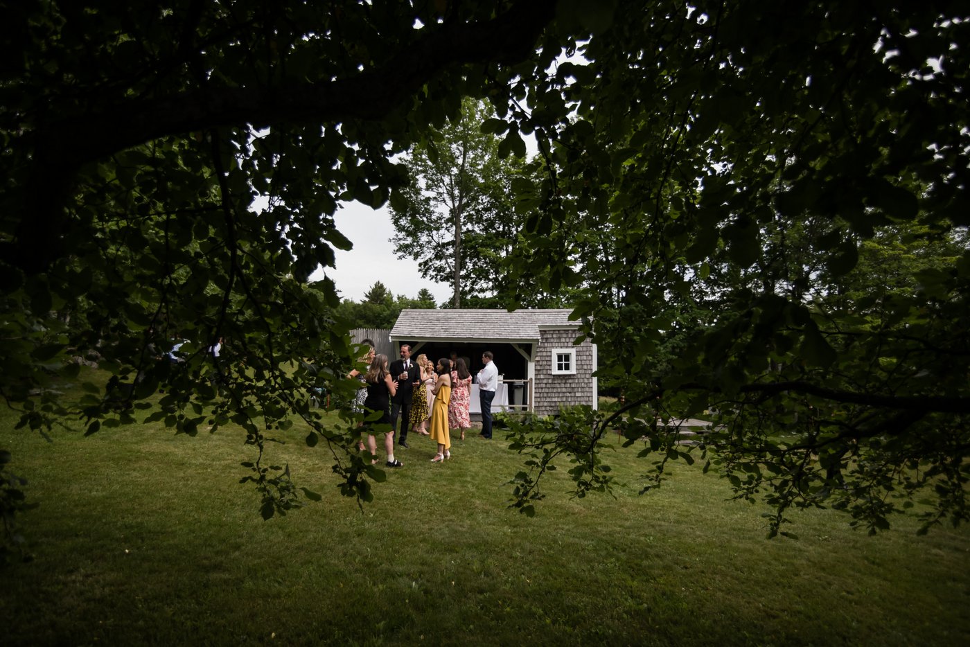 A photo of guests mingling during the cocktail hour at a farm wedding in Massachusetts, shot through trees by creative wedding photographers Spagnolo Photography