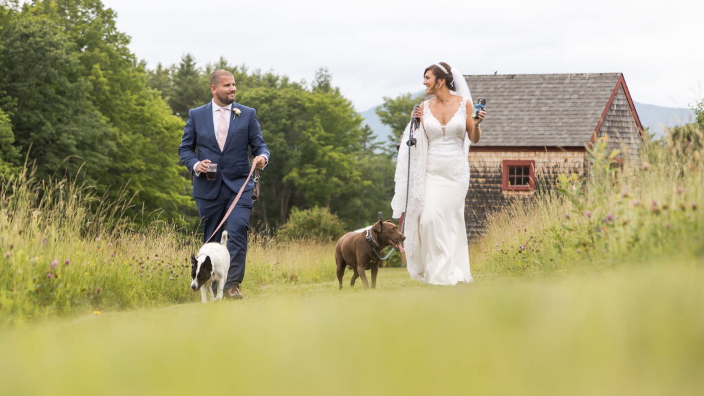 The bride and groom walk in a field together with their two dogs, surrounded by tall grass and behind them a rustic building during their barn wedding in Massachusetts, photographed by Boston-based Massachusetts wedding photographers Spagnolo Photography