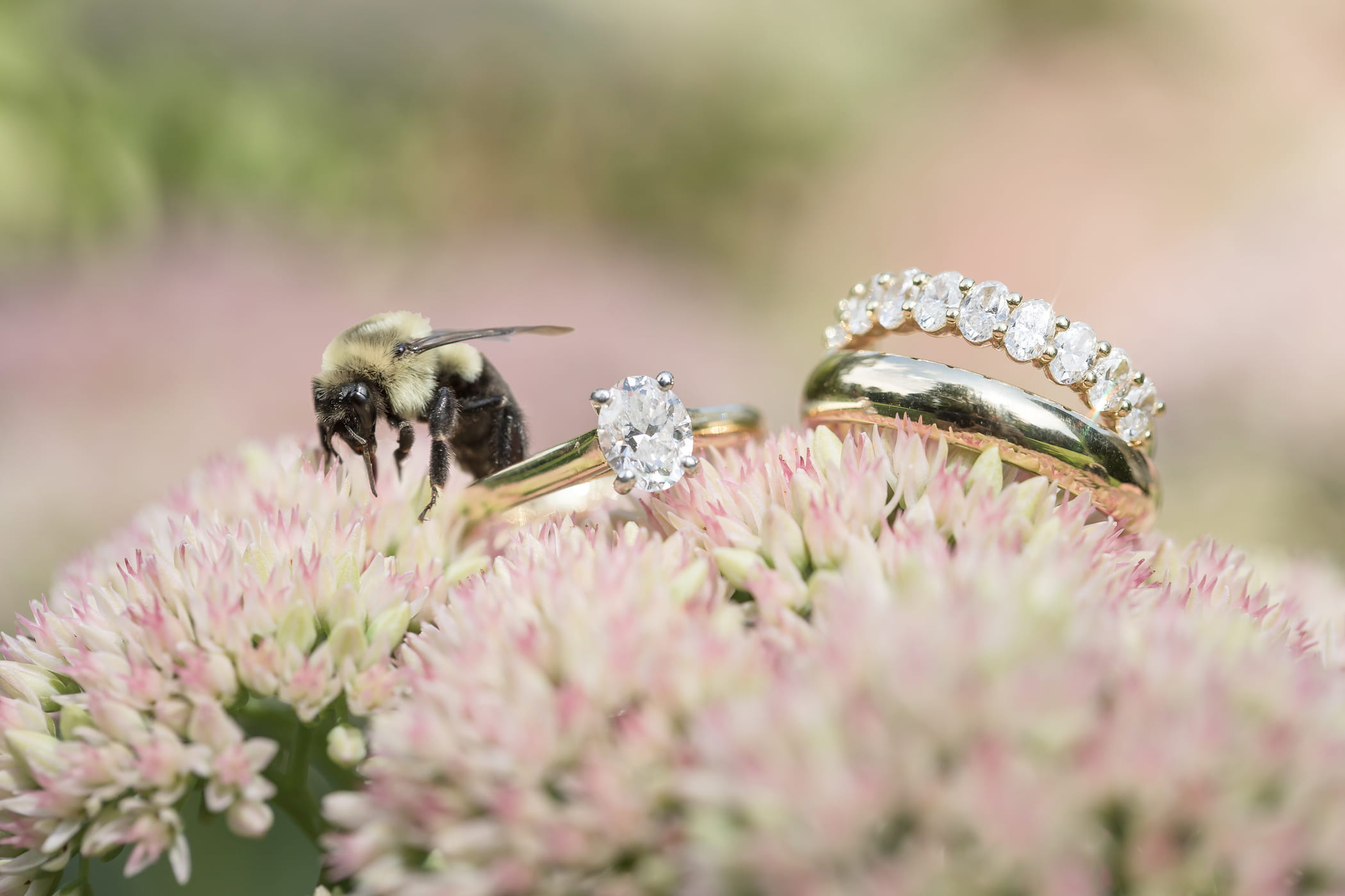 A bee sits on a pink wildflower next to an engagement ring and wedding bands, photographed by creative Boston wedding photographers Spagnolo Photography